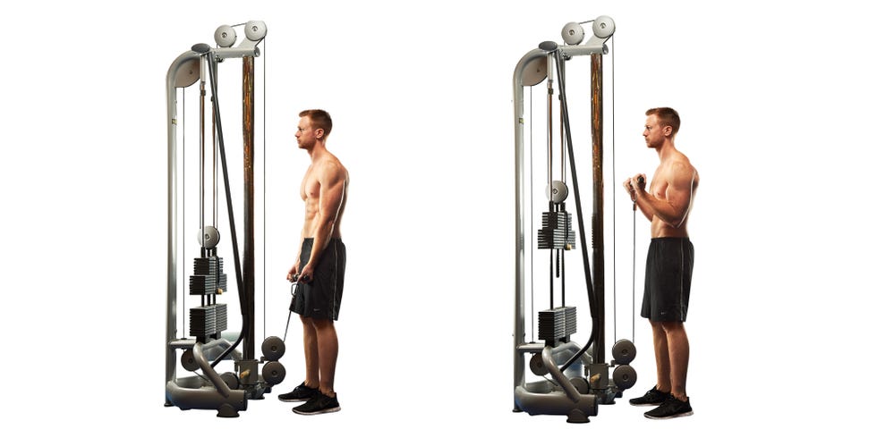 cable bicep curl