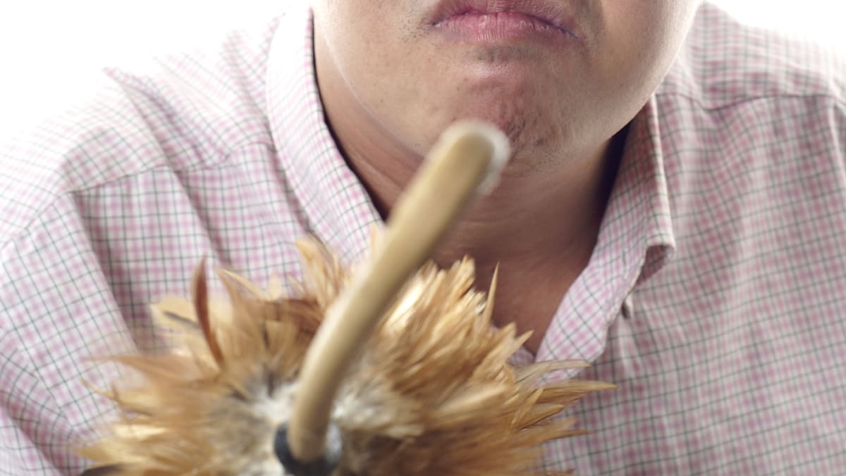 Spare the rod, spoil the child? Adults who were caned as children disagree