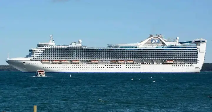 More than 100 sick in norovirus outbreak on Caribbean Princess cruise ship - National