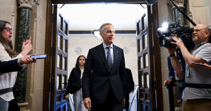Ottawa’s long-awaited AI strategy will be released next week, Carney says - National