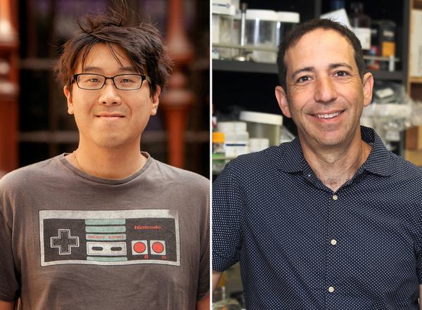 Chan and Elowitz Named to Great Britain's Royal Society