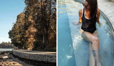 I'm a Vancouver local and here are 8 spots actually worth visiting in the city