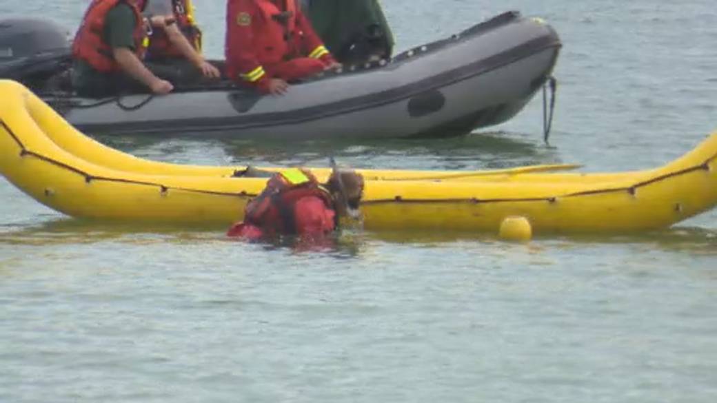 Click to play video: 'Mahogany Lake drowning renews calls for Calgary Fire Department dive team'