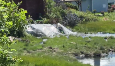 Sewage emergency in the Comox Valley fixed but residents should stay out of water - BC