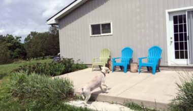Spring cleaning your home or cottage? How to limit hantavirus risk - National