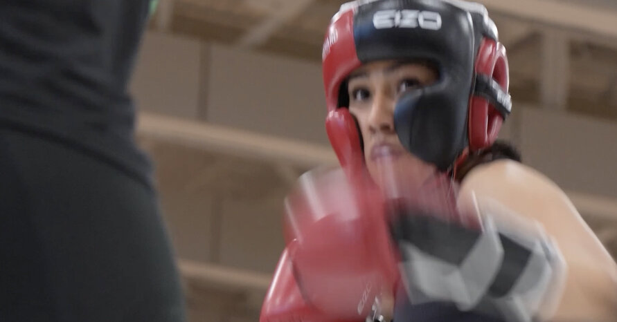 The New Harvard Trend? Getting Punched in the Face.