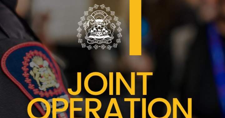 Calgary police execute 42 warrants, arrest 9 people in 2-day operation - Calgary