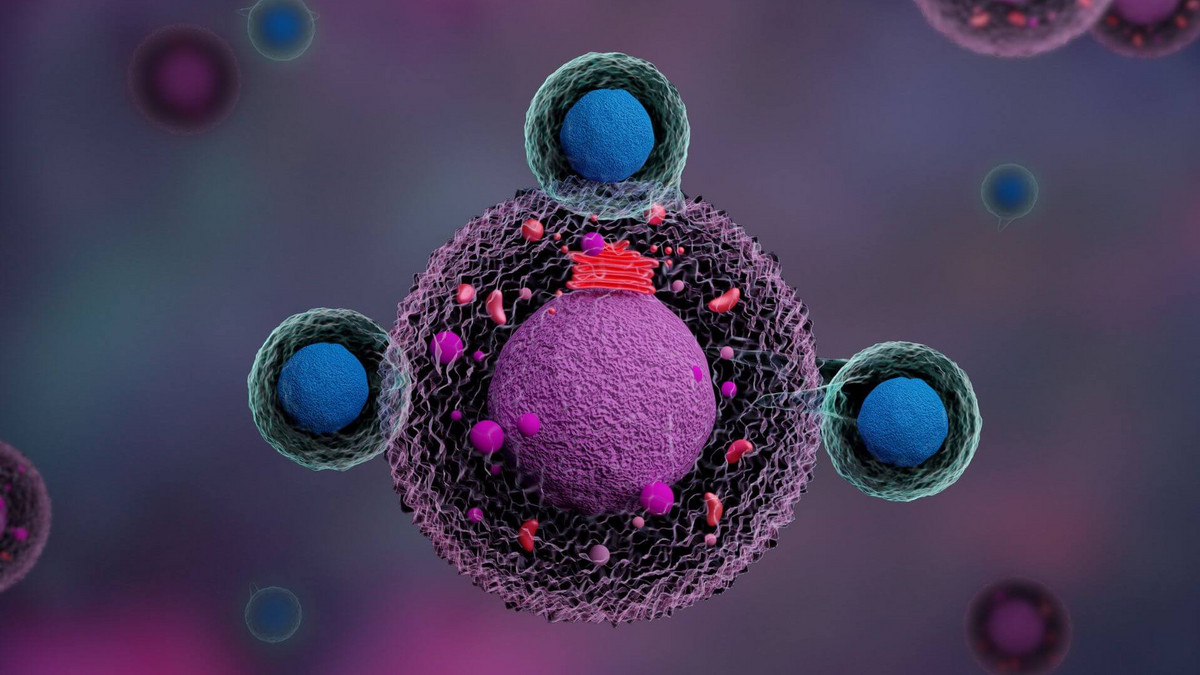 A Canadian first: Allogeneic CAR-T cells to treat autoimmune Diseases