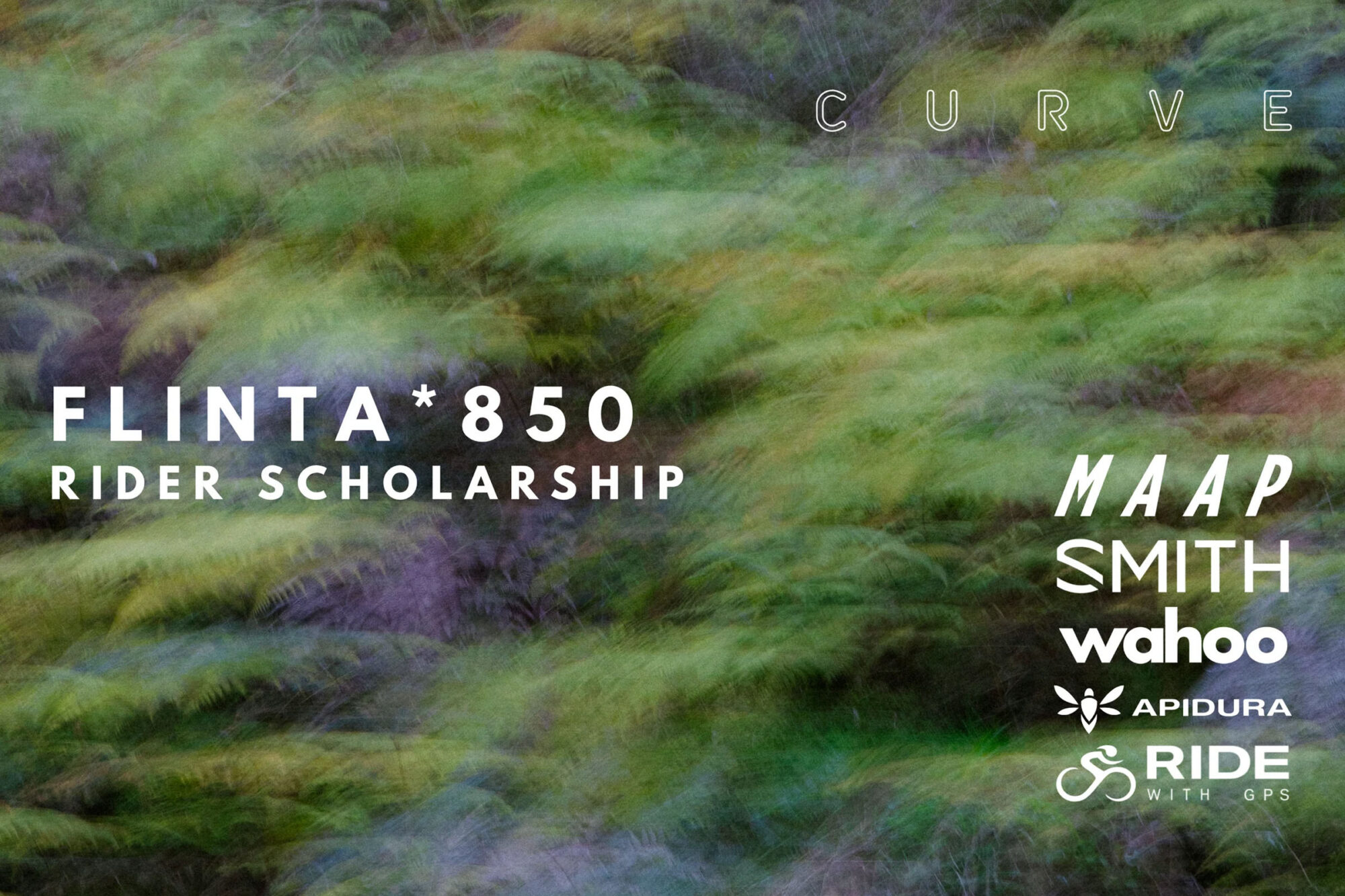 Curve Flinta Scholarship