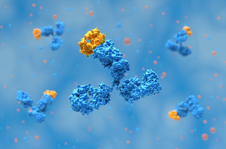 Illustration of monoclonal antibody therapy, resembling an upside-down Y made of balls of clay.