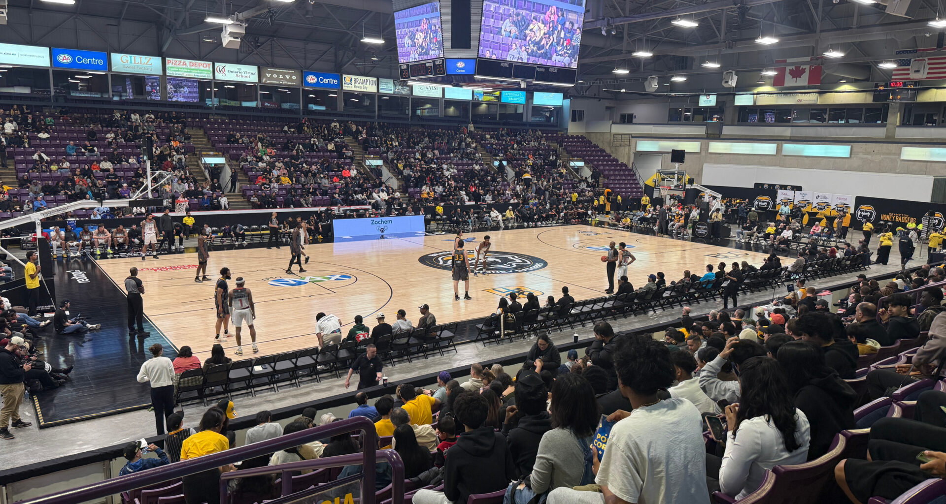 CAA Centre - Brampton Honey Badgers