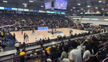 CAA Centre - Brampton Honey Badgers