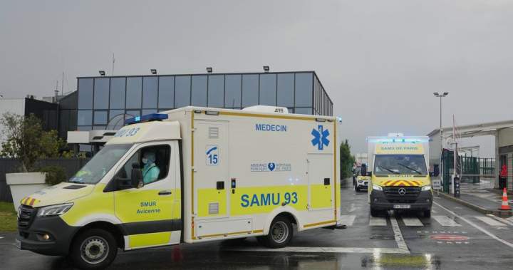 Canadian in B.C. hospital with ‘mild’ hantavirus symptoms