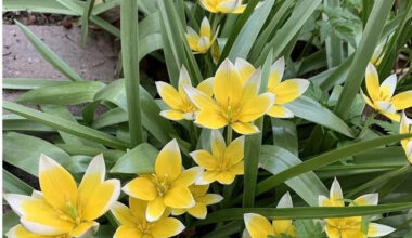 Gardening in Calgary: Are you ready for spring?