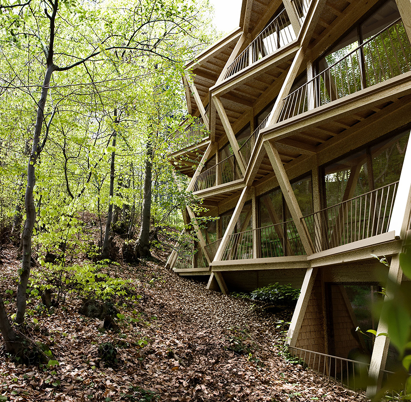 fragmented timber volumes compose forested mountain housing by arup in albania - 3