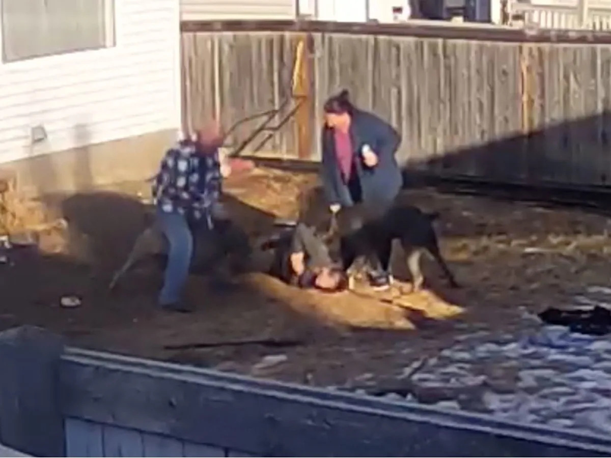 Edmonton woman says owner of killer dogs 'shrugged' after mauling