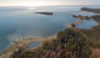 France rejects plan to send its last two captive orcas to live in Nova Scotia refuge - Halifax