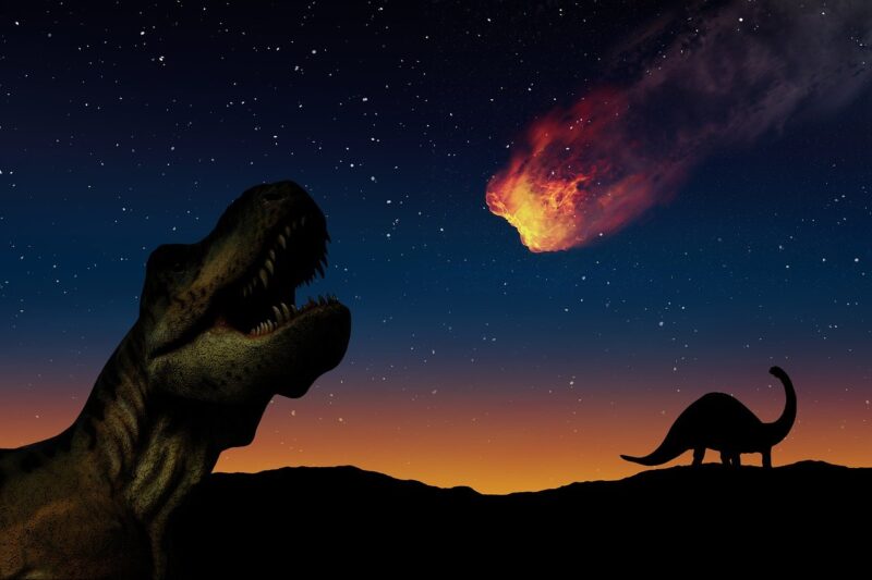Asteroid killed the dinosaurs: A dinosaur looks up at a flaming rock entering the sky.