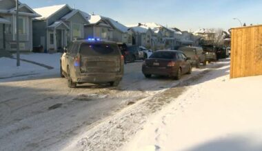 Calgary officer cleared after police dog mistakenly takes down nine-year-old girl