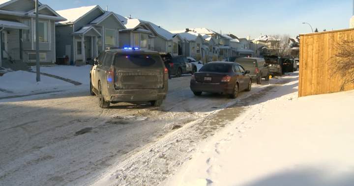 Calgary officer cleared after police dog mistakenly takes down nine-year-old girl