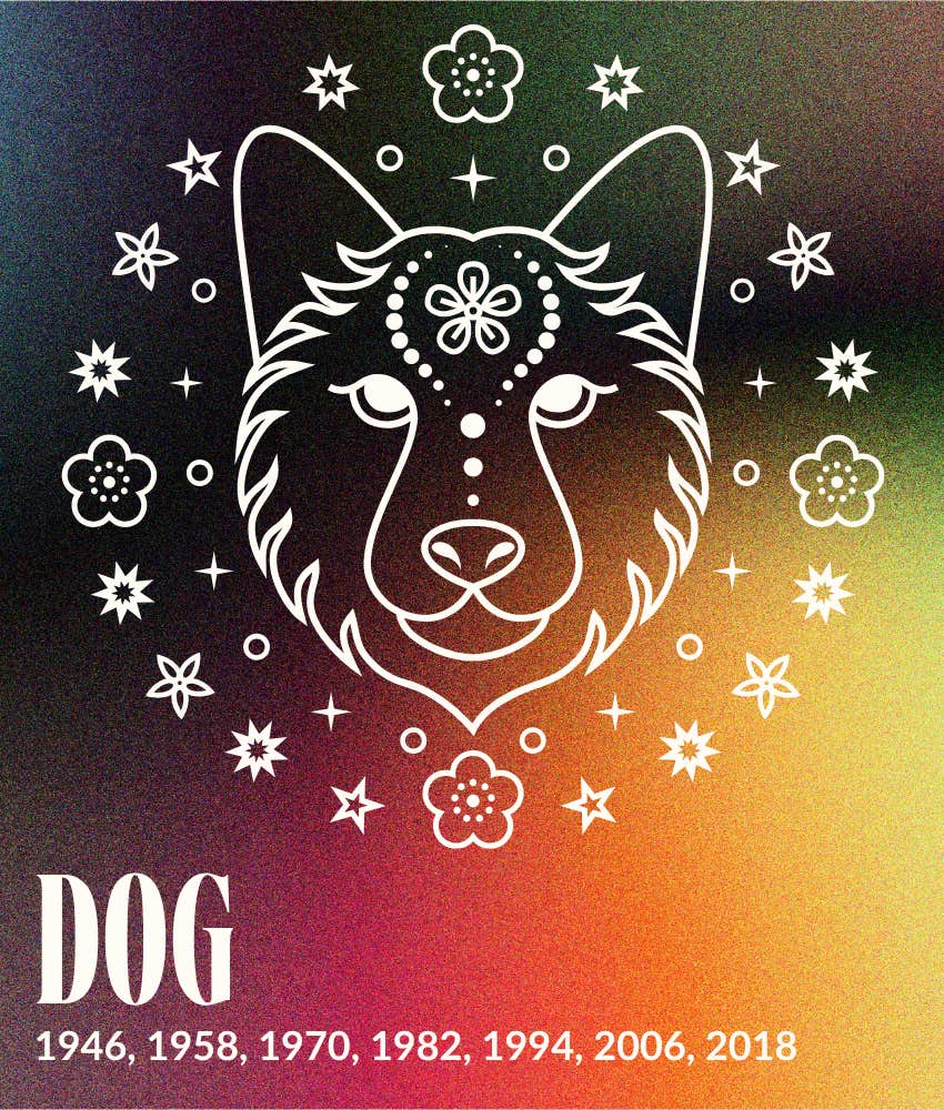 dog chinese zodiac signs life better may 12, 2026