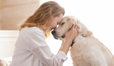 A four-month-old Chinese startup just launched a $118 AI collar that claims to translate dog and cat vocalizations into human sentences with 95% accuracy — an extraordinary consumer device that has secured $1 million in funding despite zero independent scientific proof that it actually works Featured Image