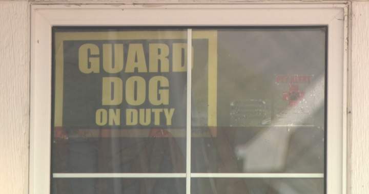 Trial begins in Edmonton for owner of dogs who mauled B.C. boy to death