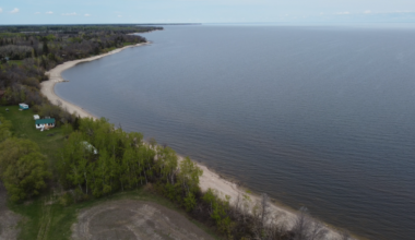 Manitoba eco groups sound alarm about pollution by U.S. mega dairy farms in Lake Winnipeg