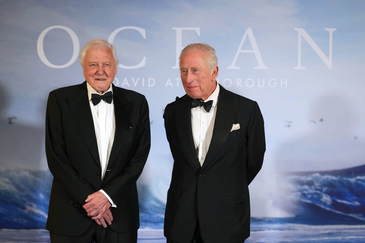 King Charles and David Attenborough at the premiere of ‘Ocean with David Attenborough’ (PA)