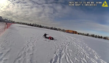 Calgary officer cleared after police dog mistakenly takes down nine-year-old girl