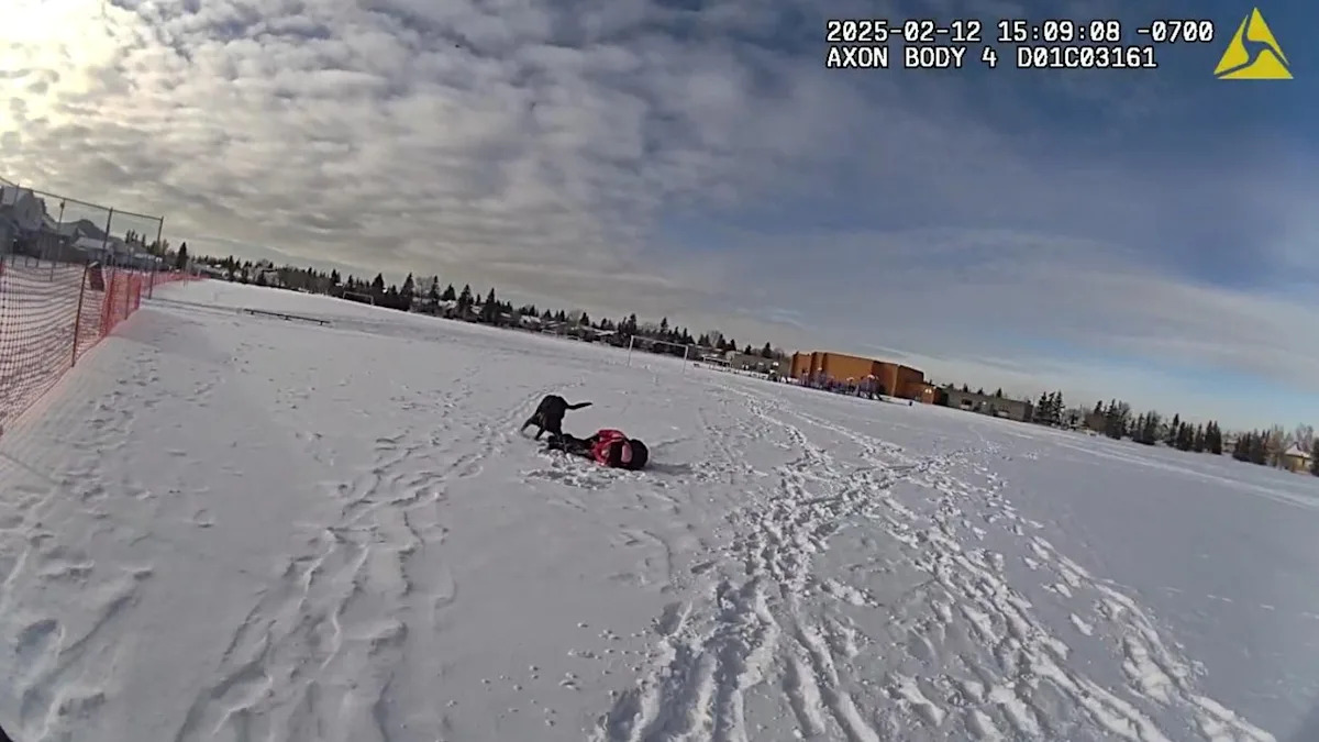 Calgary officer cleared after police dog mistakenly takes down nine-year-old girl