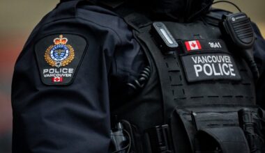 Black bear found wandering urban Vancouver is tranquilized and released