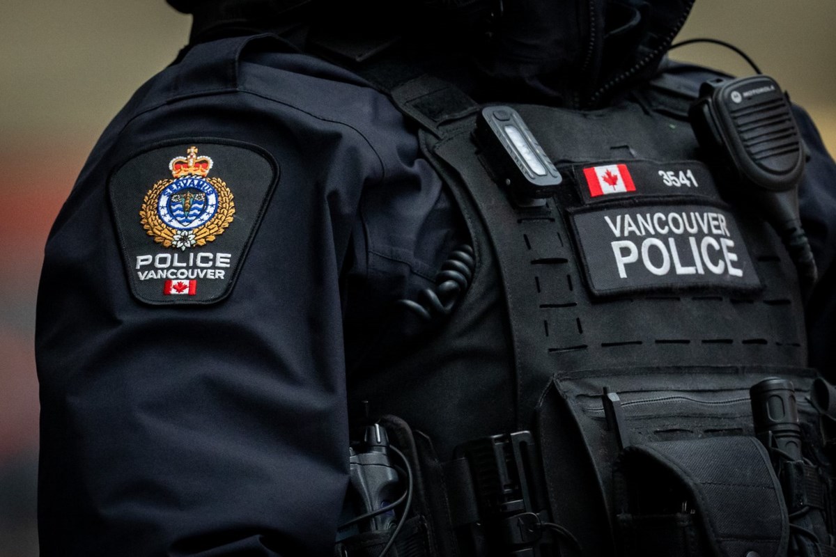 Black bear found wandering urban Vancouver is tranquilized and released