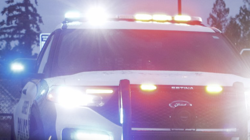 Police investigating shots fired outside Surrey business | Fraser Valley Today