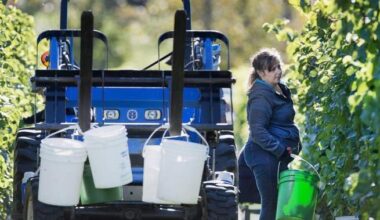 Canadian wineries say scrapping provincial trade barriers would add billions to GDP
