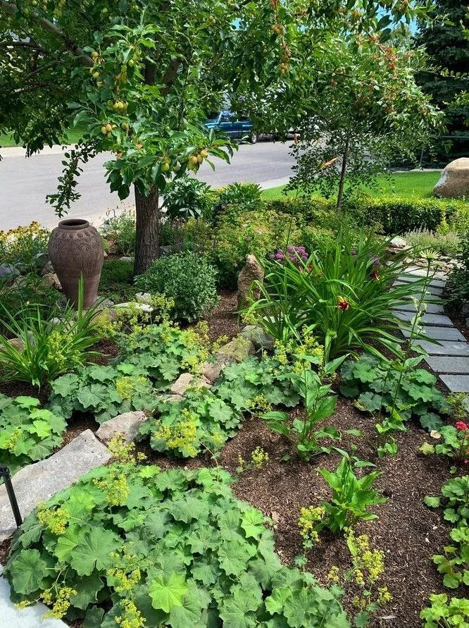 Mulch your garden to help keep moisture in the soil. Photo, Deborah Maier