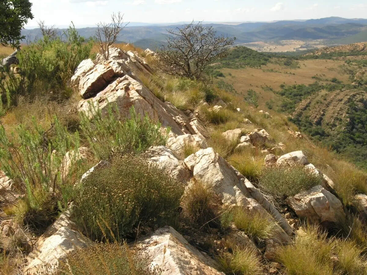 Earth’s largest impact crater no longer looks like a crater at all. Image credit - UNESCO Earth’s largest impact crater no longer looks like a crater at all