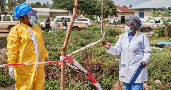 Ebola epidemic scale ‘much larger’ than known cases, WHO head says - National