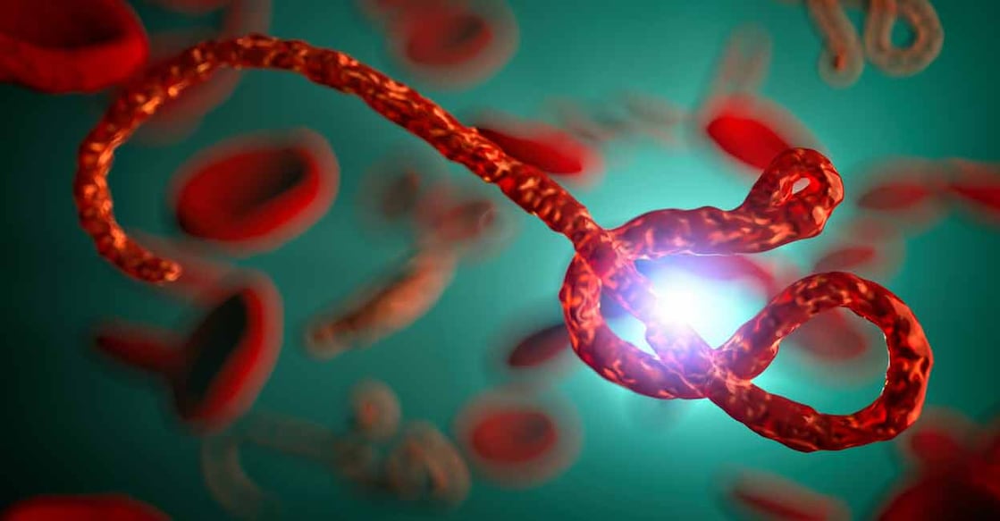 There are several Ebola strains, and the Bundibugyo virus, which has currently spread in Africa, is one of them. Photo: iStock/humonia