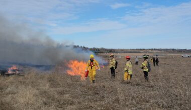 Edmonton's Jan Reimer Park closed for prescribed burn Monday