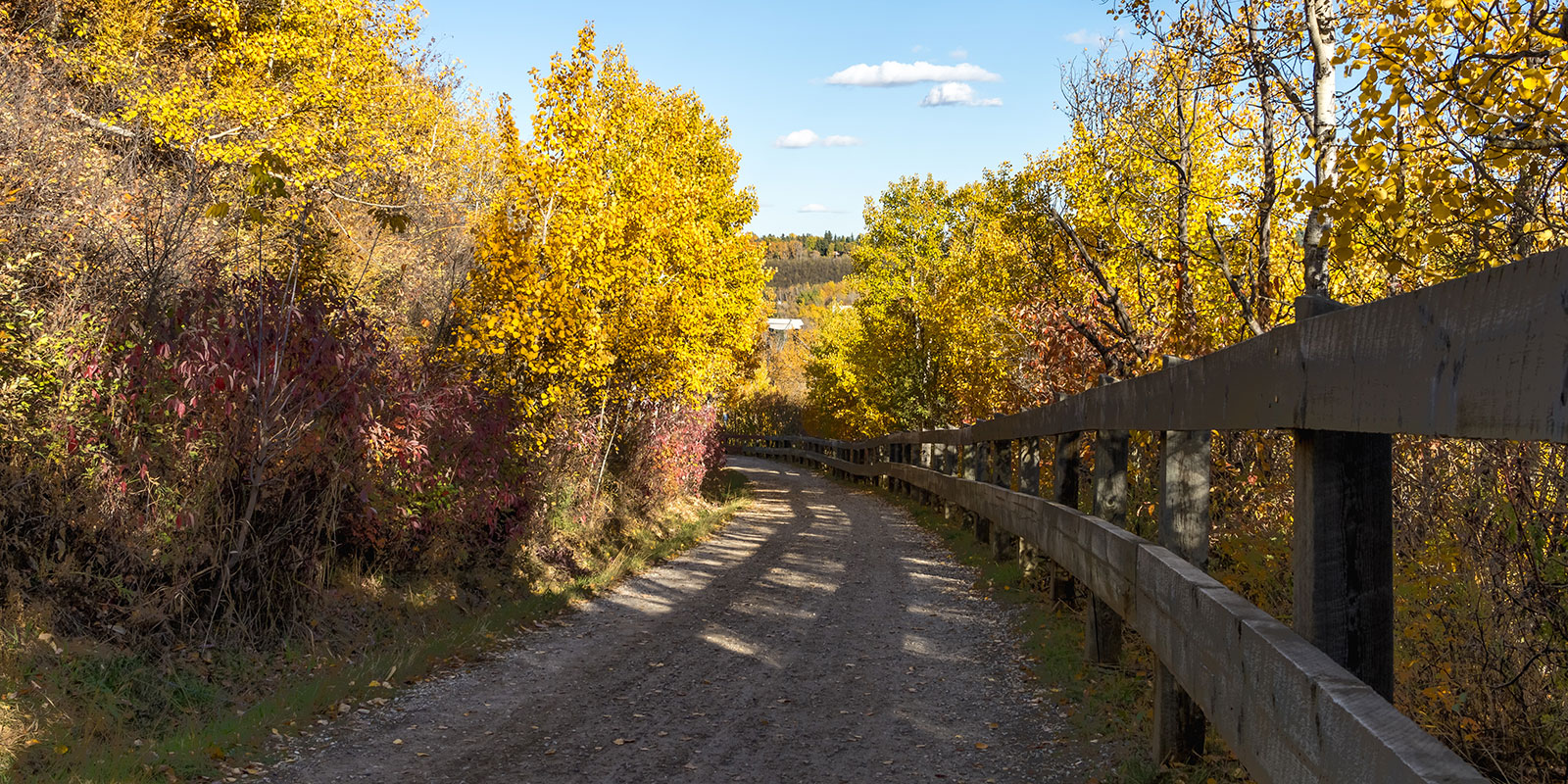 Grad pens guide to exploring the natural areas of Alberta’s capital region