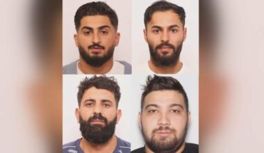 6 men allegedly damaged vehicles to coerce owners to sell for less: Edmonton police