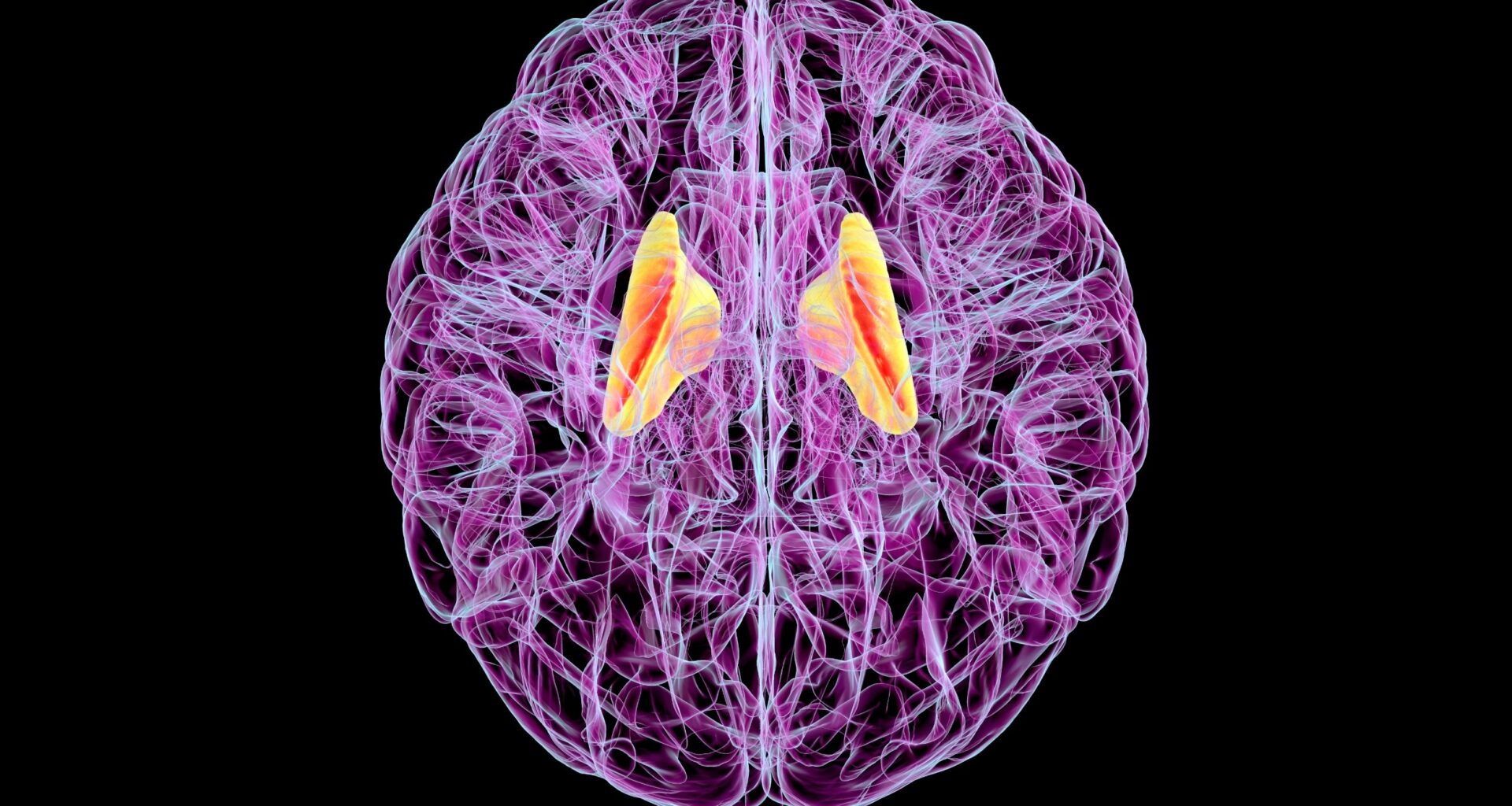 Human brains reap more benefits from exercise as fitness improves