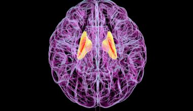 Human brains reap more benefits from exercise as fitness improves