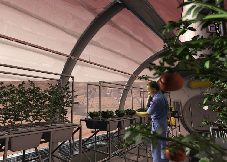 Artist's rendering of a greenhouse on Mars. (Credit: Science Applications International Corporation (SAIC))