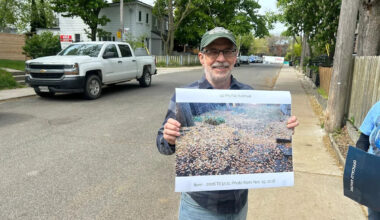 For some residents across Toronto, this tree's fruit is anything but sweet