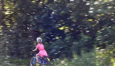 Runny nose? Itchy? Experts say seasonal allergies worsening due to increase in pollen - National