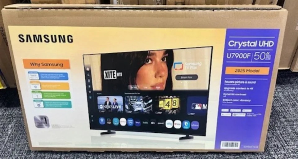 Dua Lipa is suing Samsung over their alleged use of her picture without permission in their marketing (Dua Lipa's complaint)