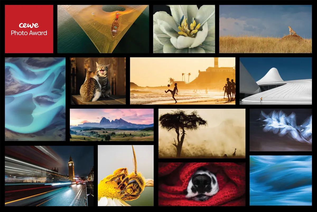 Collage of award-winning photos featuring nature, wildlife, landscapes, architecture, and urban scenes from the Cewe Photo Award