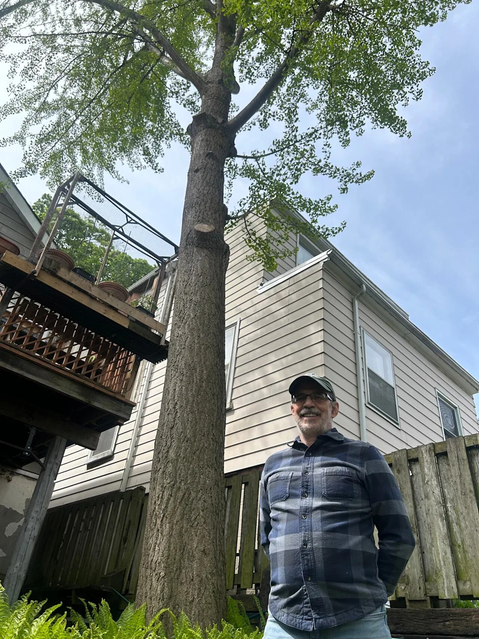 Alan Page, in his Myrtle Avenue backyard in the Jones-Gerrard area. Earlier this year he applied for a permit to have the ginkgo tree removed because of the stench every fall, but city staff turned him down. His appeal will be heard Thursday.